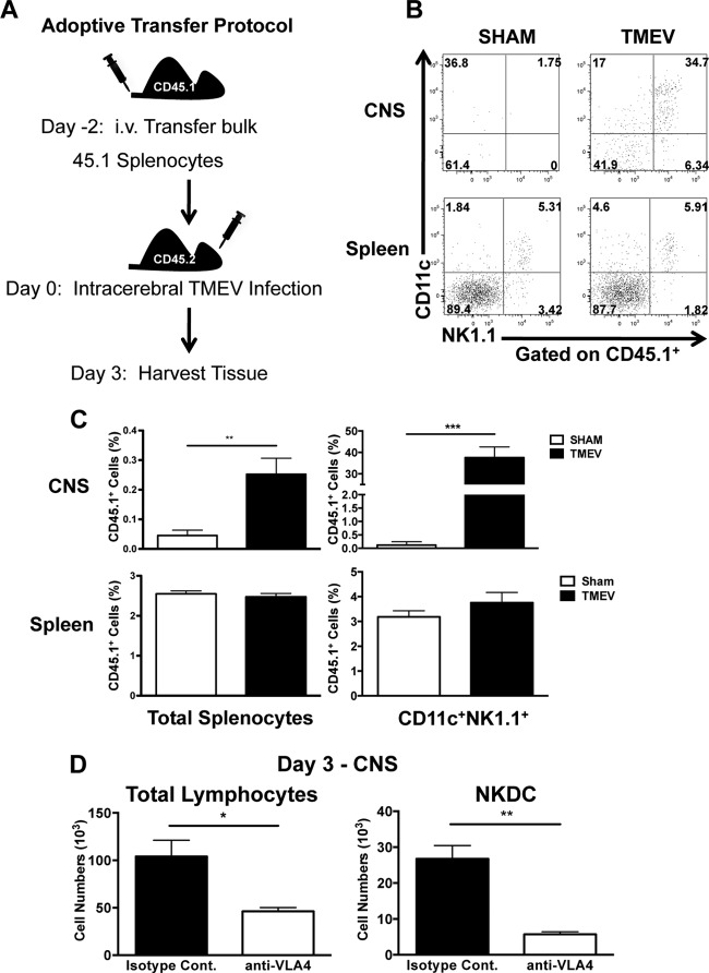 FIG 3 