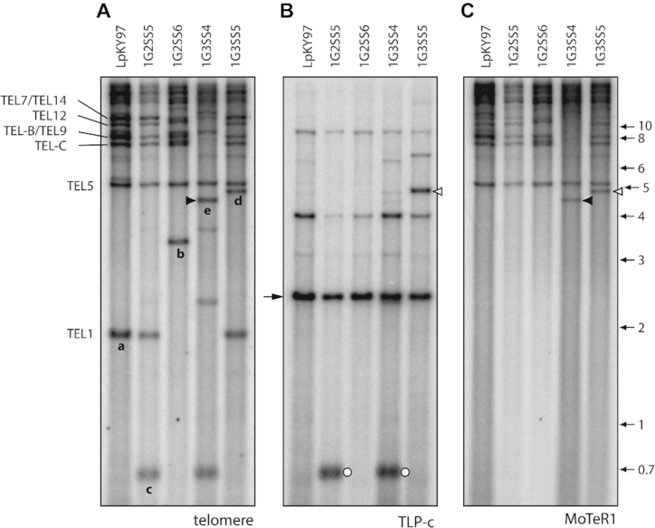 Figure 3.