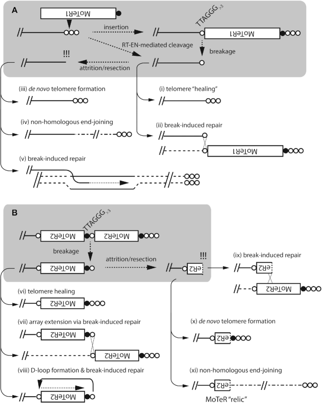 Figure 9.