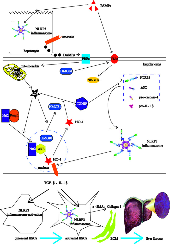 Figure 3