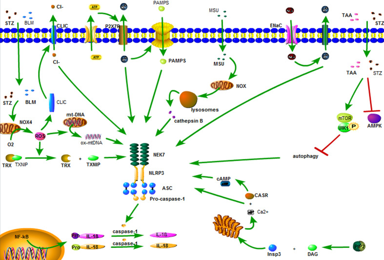 Figure 2