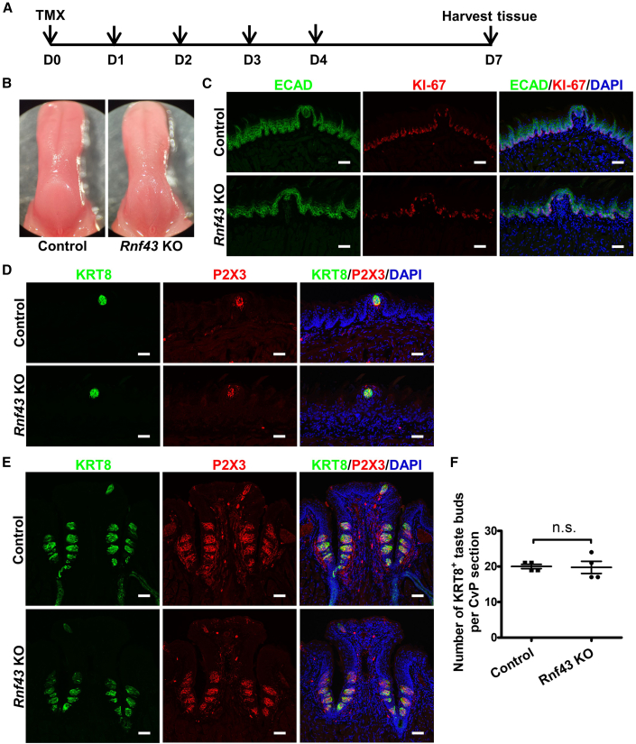 Figure 4