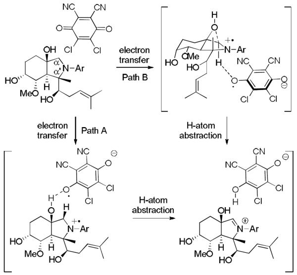 Scheme 3