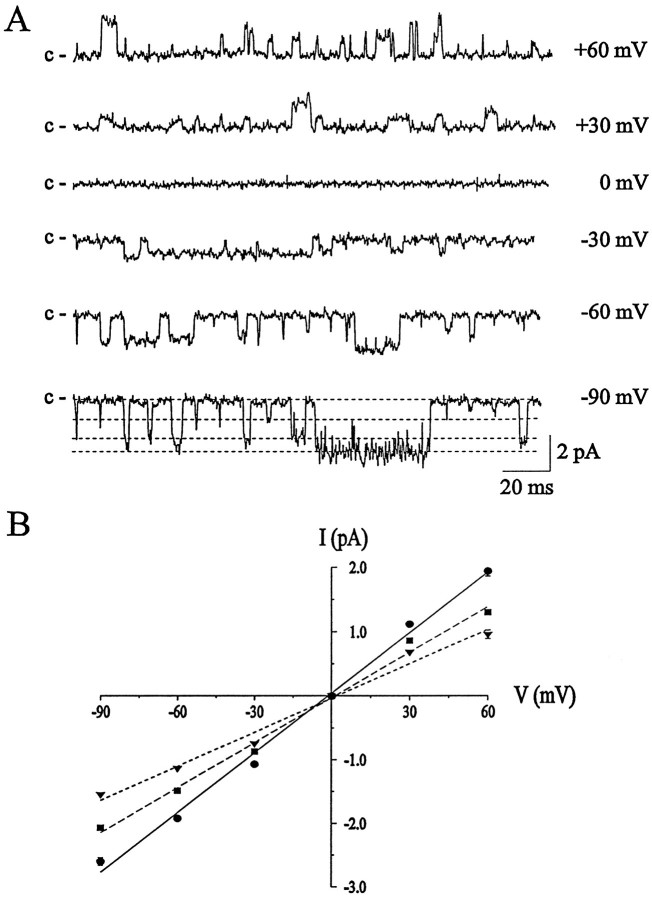 Fig. 3.