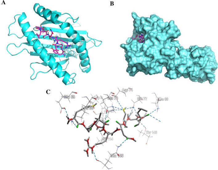 Fig. 6