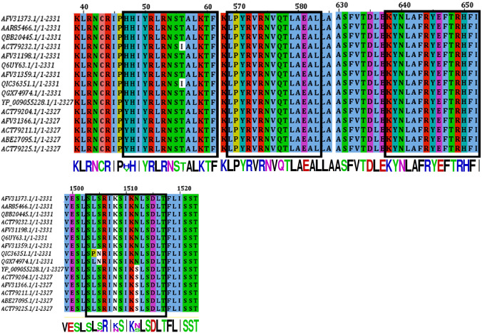 Fig. 3