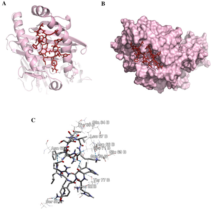 Fig. 7