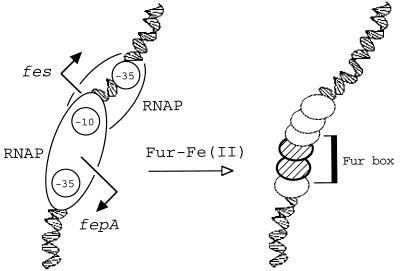 FIG. 5