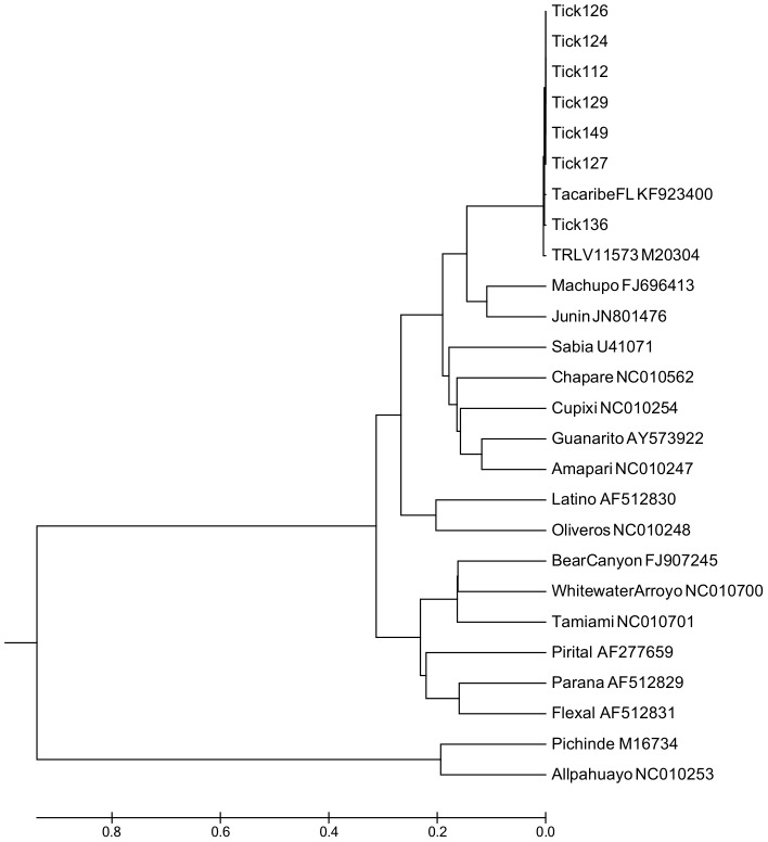 Figure 5