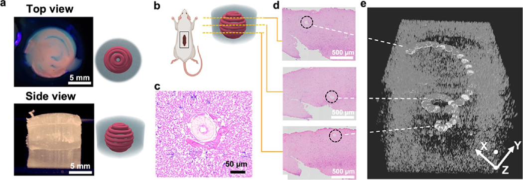 Figure 10.