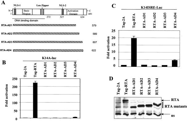 FIG. 2.