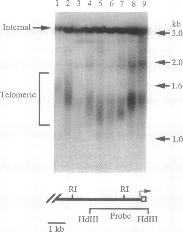 graphic file with name pnas01127-0366-a.jpg