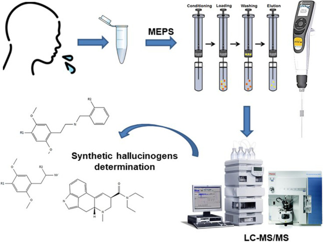 graphic file with name 216_2023_4751_Figa_HTML.jpg