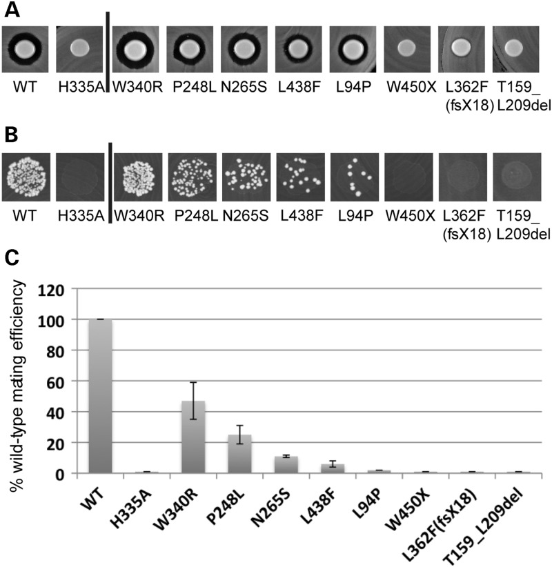 Figure 3.