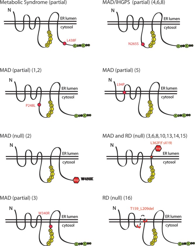 Figure 2.