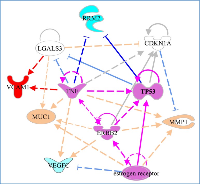 Fig. (1)