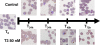 FIG. 3.