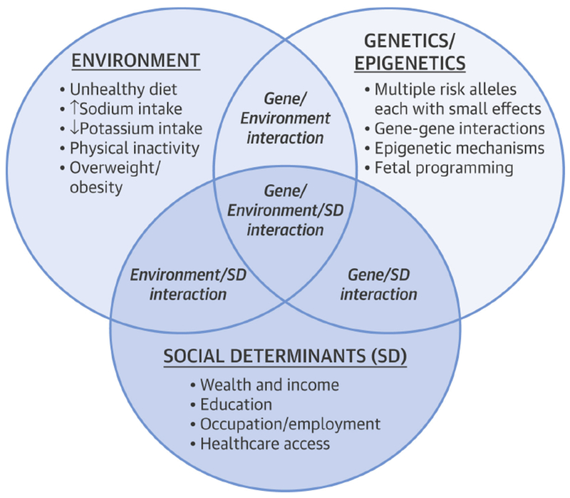 Figure 1: