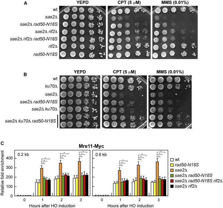 Figure 4