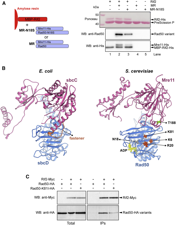 Figure 6