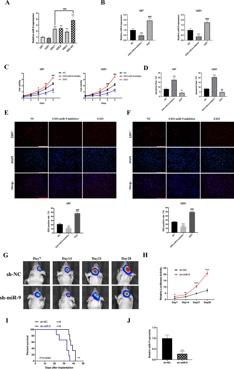 Fig. 4: