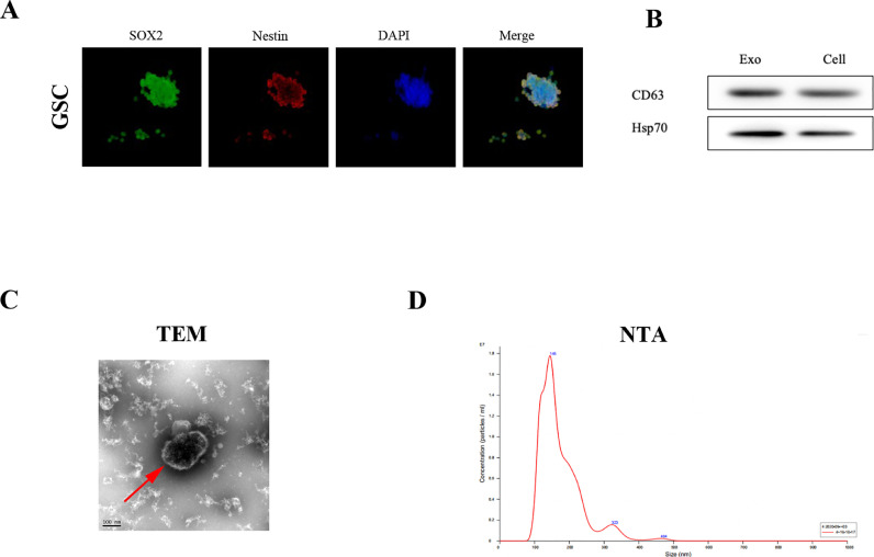 Fig. 3: