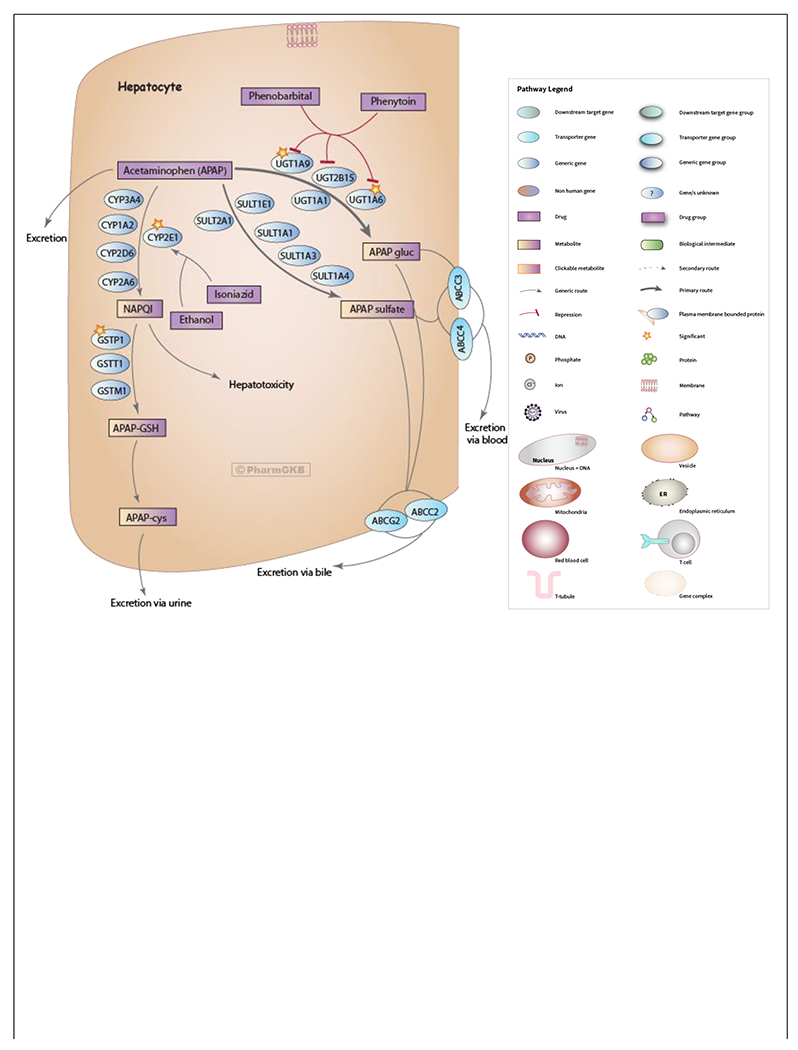 Figure 1: