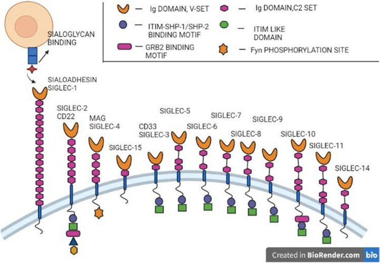 Fig. 13