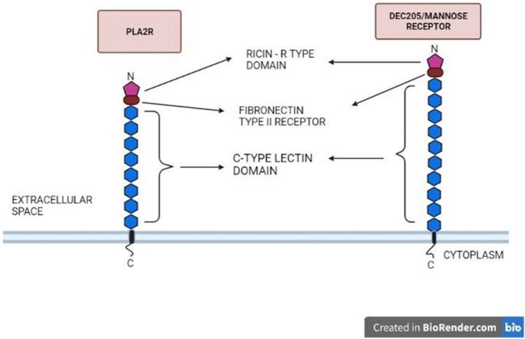 Fig. 14