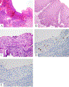 Figure 5:
