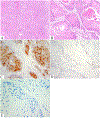 Figure 3: