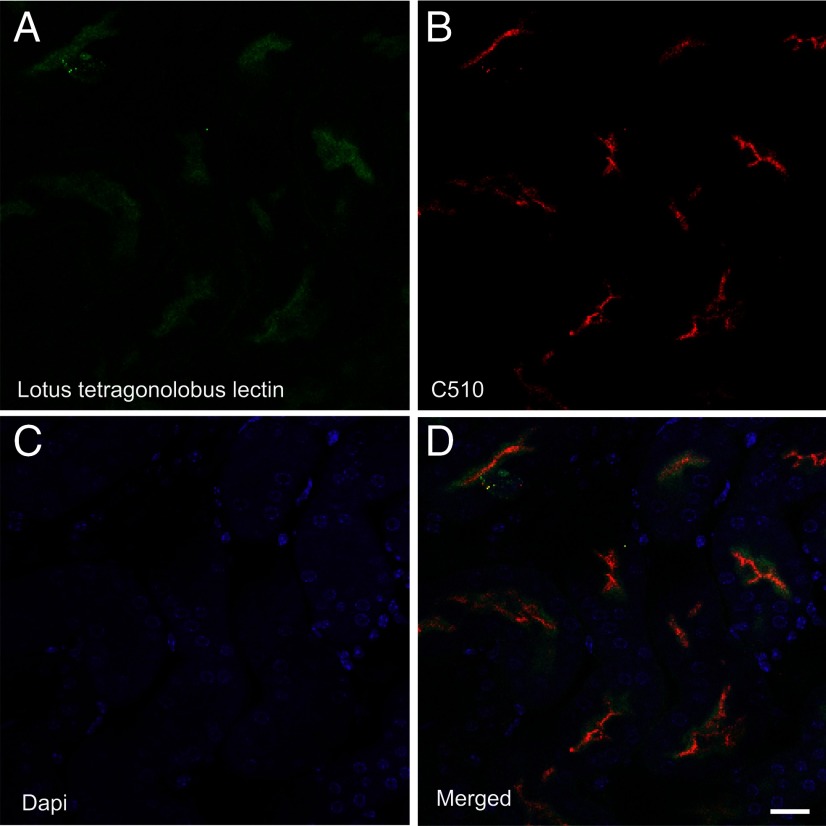 Figure 12.