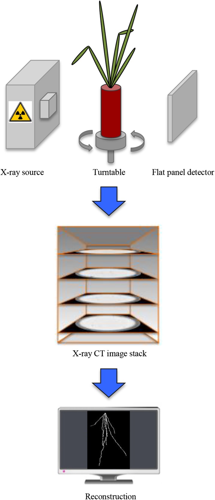 Figure 1.