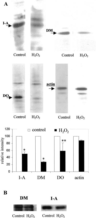 Fig 5.