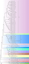 Fig 2