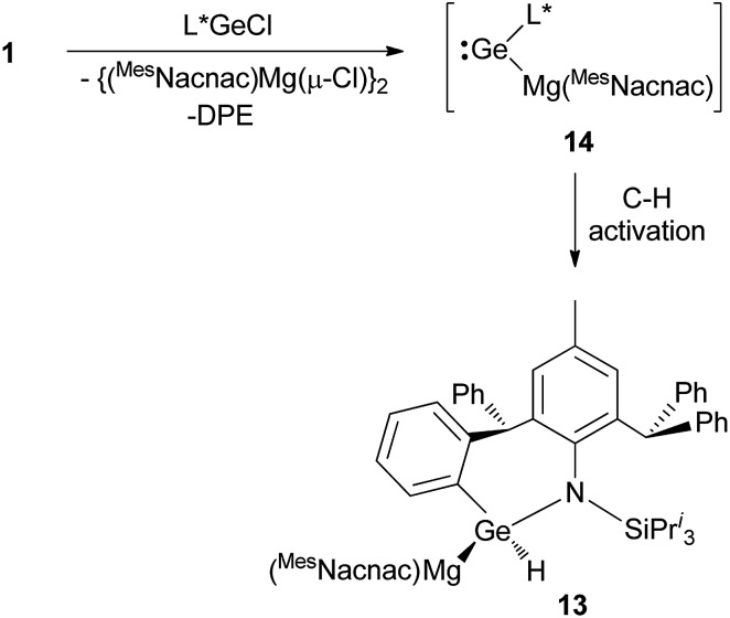 Scheme 5