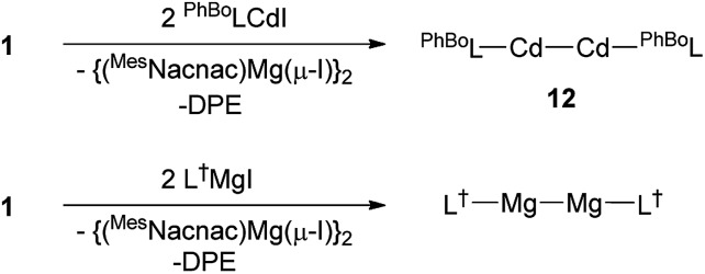 Scheme 4