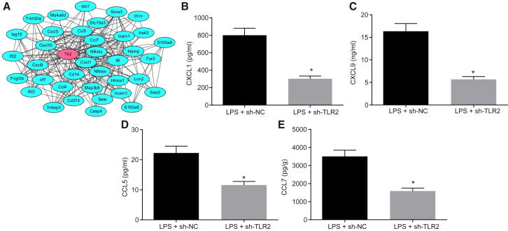 Figure 3