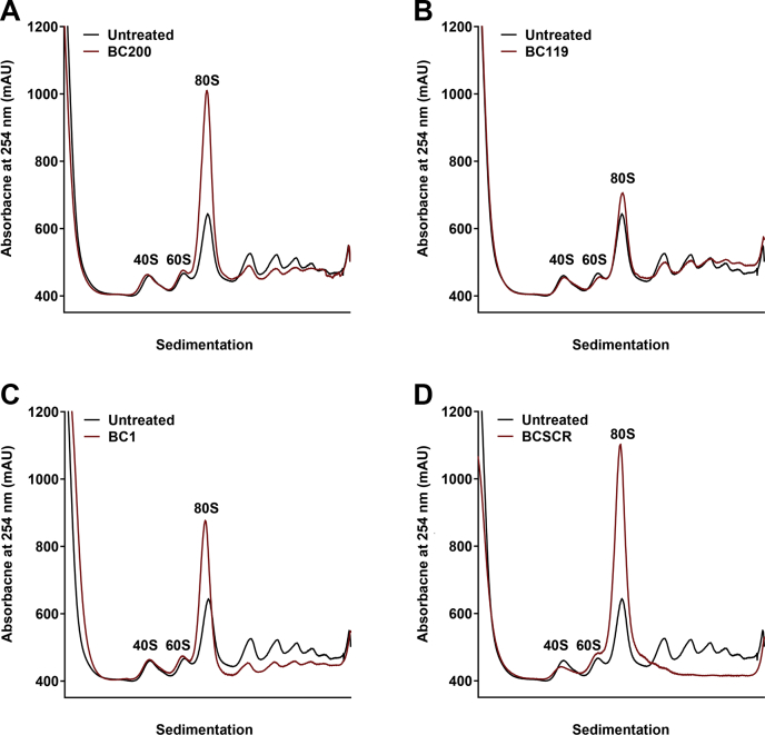 Figure 3