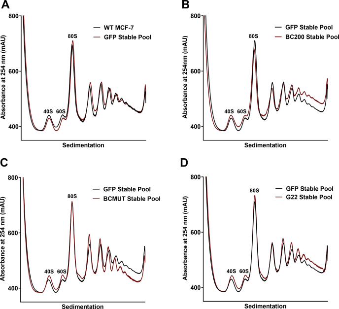 Figure 5