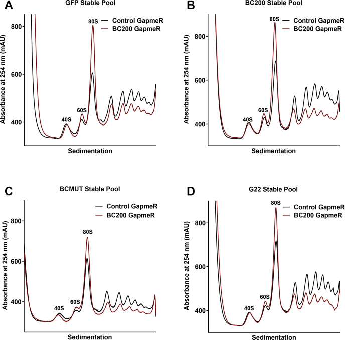 Figure 6