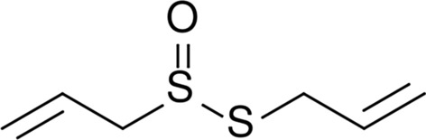 Fig. 13