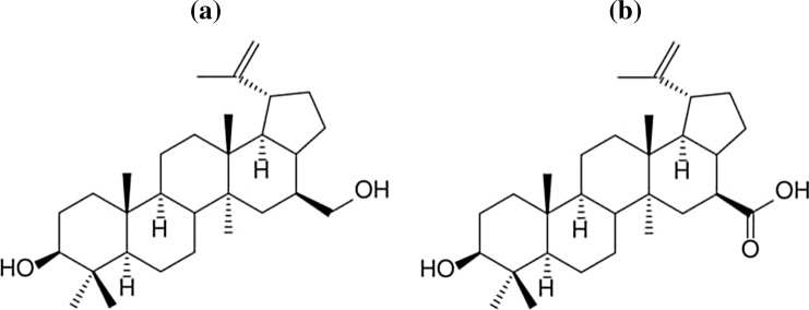 Fig. 11