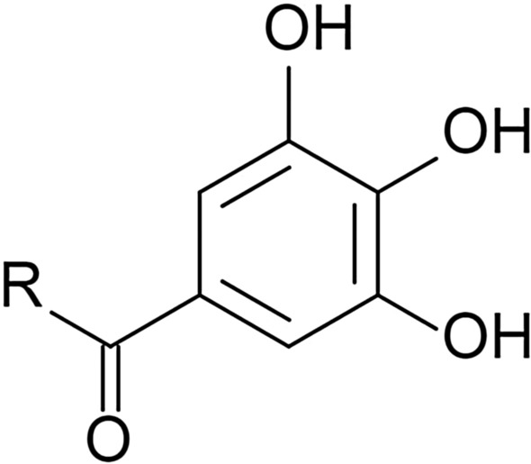 Fig. 10