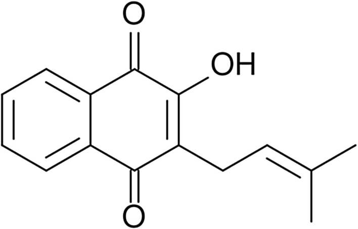 Fig. 12