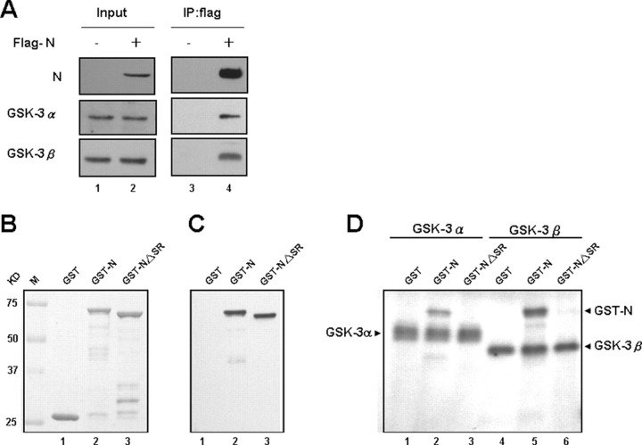 FIGURE 3