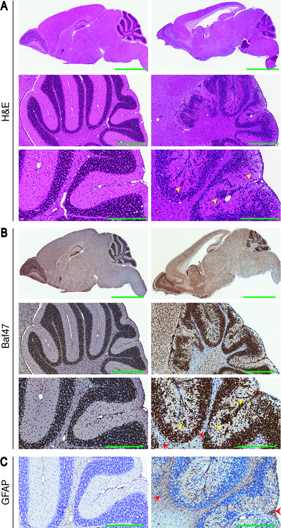 Fig 4