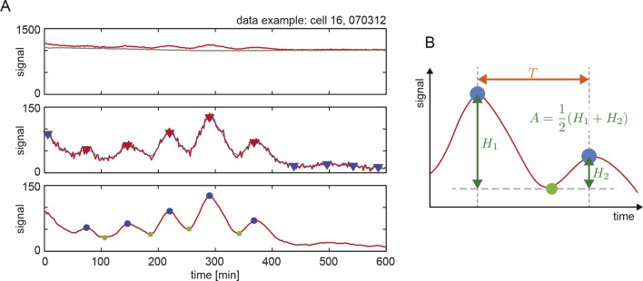 Figure 1—figure supplement 2.