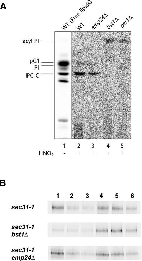 Figure 3: