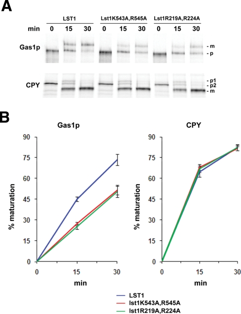 Figure 4: